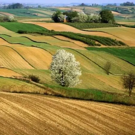 Il Casaletto Di Simonetta 아파트