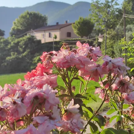 Lägenhet Il Casaletto Di Simonetta *