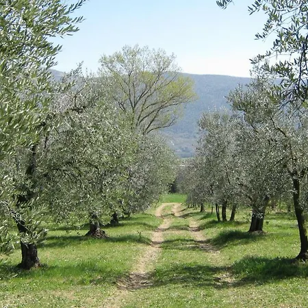 아파트 Il Casaletto Di Simonetta *