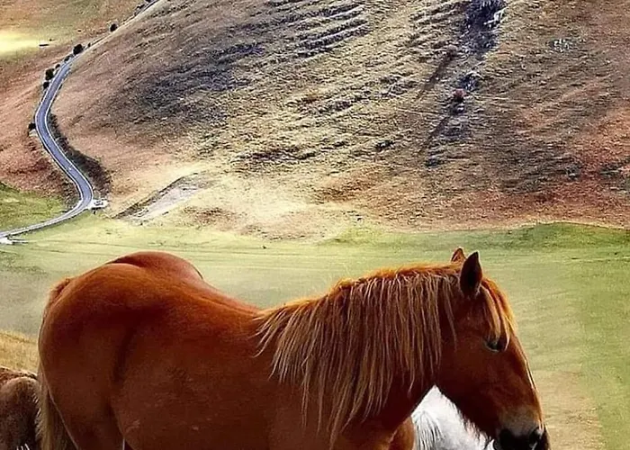 Il Casaletto Di Simonetta * Acquasparta