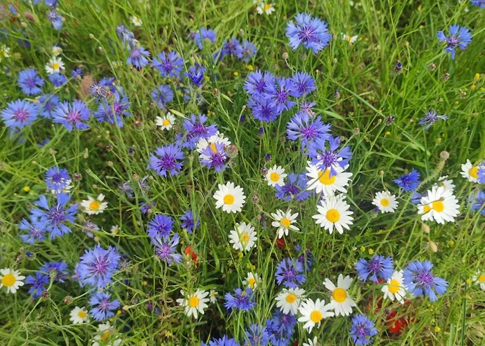 Il Casaletto Di Simonetta Apartmán *